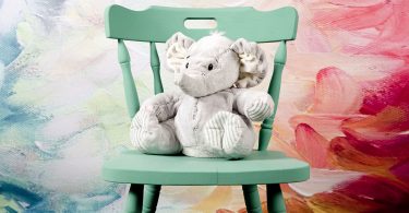 baby-chairs-all-types-reviews